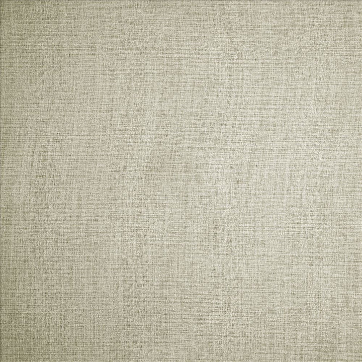 Summersville Linen  by Kasmir Fabric 1475 100% Polyester  TURKEY  </p><p>Repeat: Horizontal: N/A and Vertical: N/A 118  - Fabric Carolina -