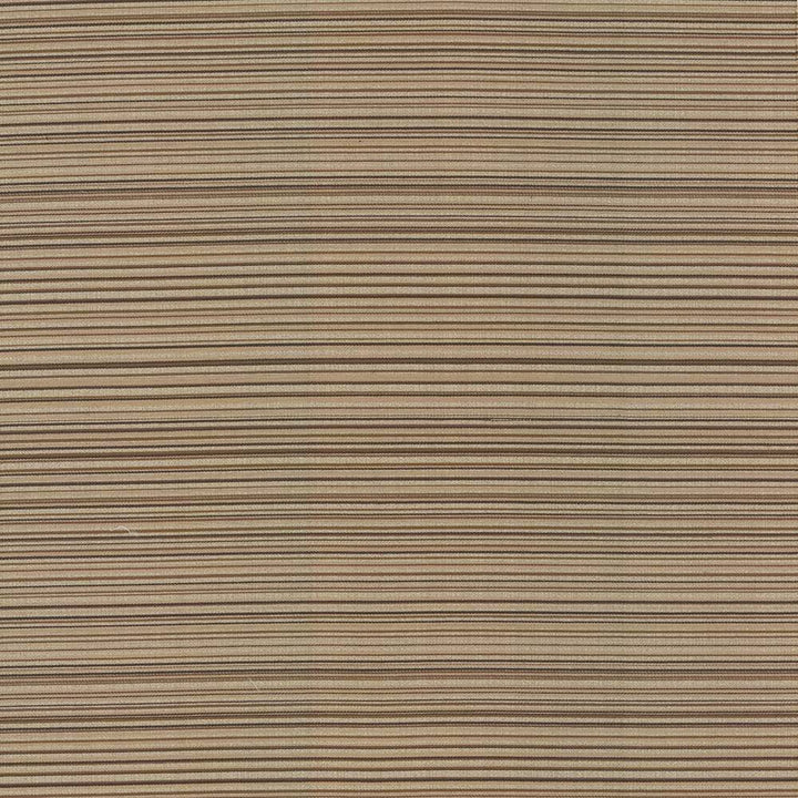 Sunset Boulevard Latte by Kasmir Fabric 5083 CHINA 50,000 Wyzenbeek Double Rubs H: N/A, V:5 4/8 inches 55 - Fabric Carolina - Kasmir