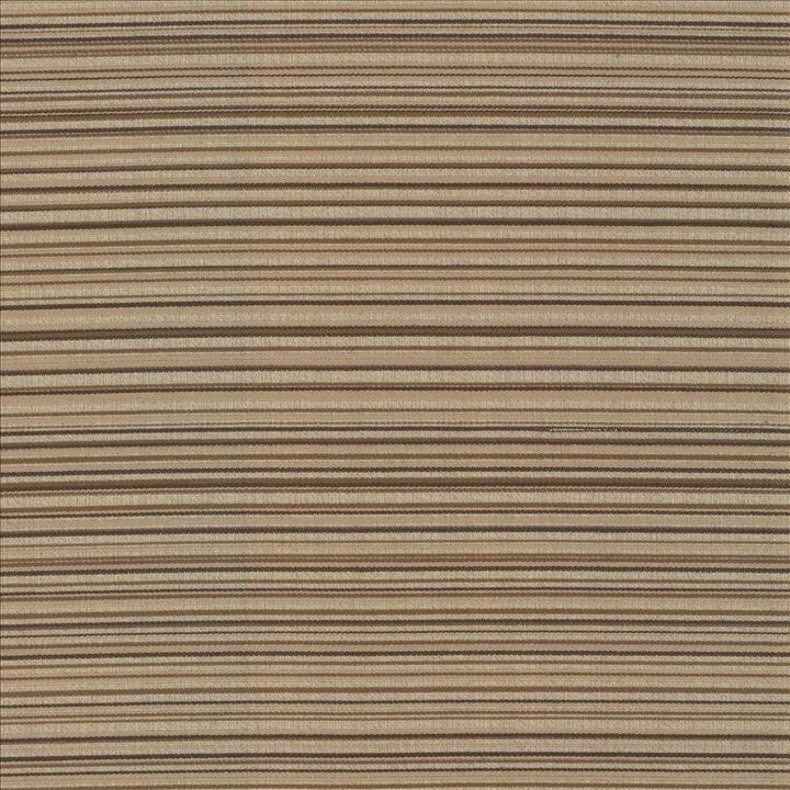 Sunset Boulevard Latte  by Kasmir Fabric See sample 55% Polyester
45% Rayon
 CHINA 50,000 Wyzenbeek Double Rubs </p><p>Repeat: Horizontal: N/A and Vertical: 5 4/8 inches 55  - Fabric Carolina -