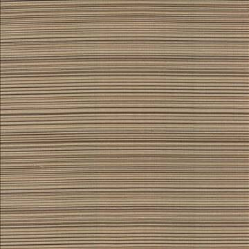 Sunset Boulevard Latte by Kasmir Fabric 5083 55% Polyester 45% Rayon CHINA 50,000 Wyzenbeek Double Rubs H: N/A, V: 5 4/8 inches 55 - Fabric Carolina - Kasmir