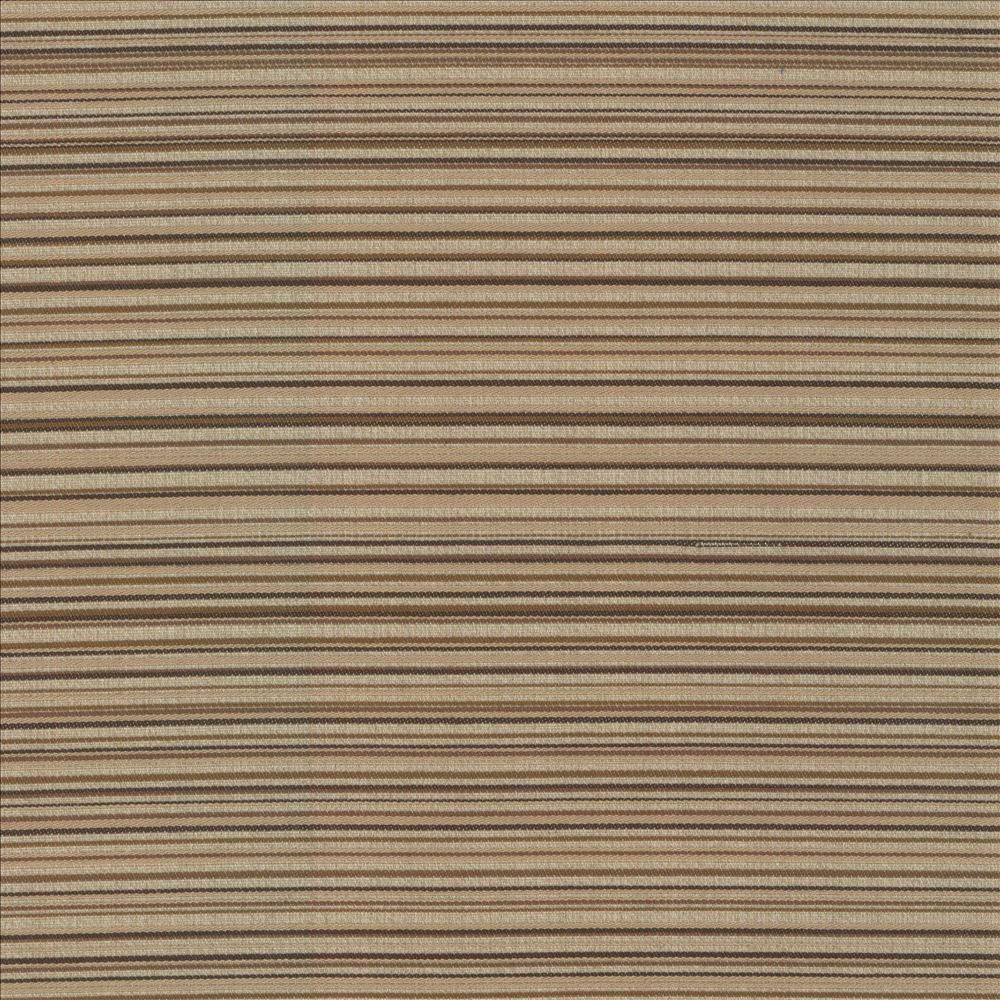 Sunset Boulevard Latte by Kasmir Fabric 5083 55% Polyester
45% Rayon
 CHINA 50,000 Wyzenbeek Double Rubs </p><p>Repeat: Horizontal: N/A and Vertical: 5 4/8 inches 55 - Fabric Carolina -