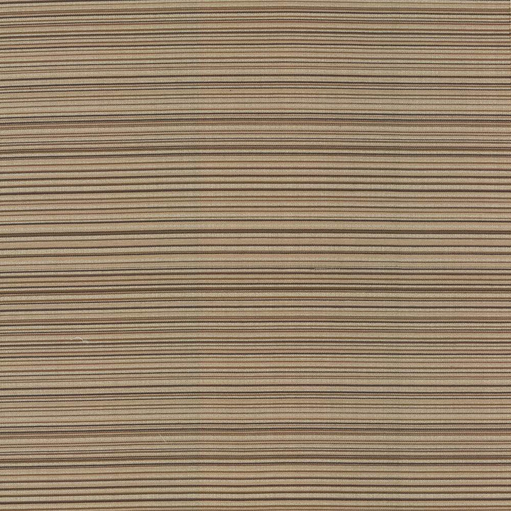 Sunset Boulevard Latte by Kasmir Fabric 5083 55% Polyester
45% Rayon
 CHINA </p><p>Repeat: Horizontal: N/A and Vertical: 5 4/8 inches 55 - Fabric Carolina -
