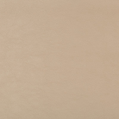Kravet Design Swaps-16 by Kravet Design Fabric