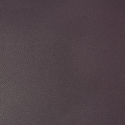 Syrus Eggplant by Kravet Contract Fabric