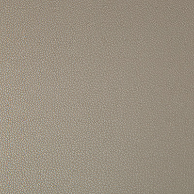 Syrus Driftwood by Kravet Contract Fabric