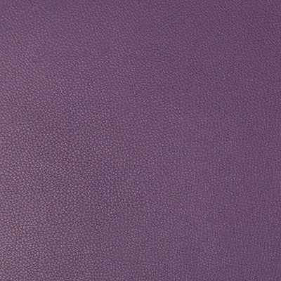 Syrus Grape by Kravet Contract Fabric