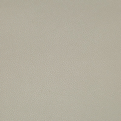 Syrus Stingray by Kravet Contract Fabric
