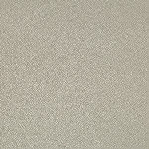 Syrus Stingray by Kravet Contract Fabric