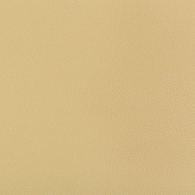 Syrus Sesame by Kravet Contract Fabric