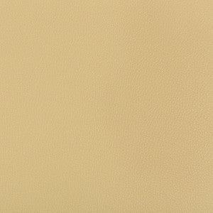 Syrus Sesame by Kravet Contract Fabric