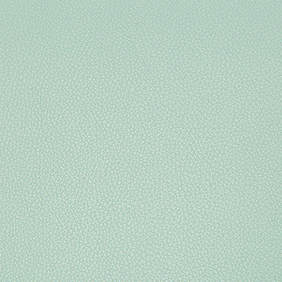 Syrus Robins Egg by Kravet Contract Fabric