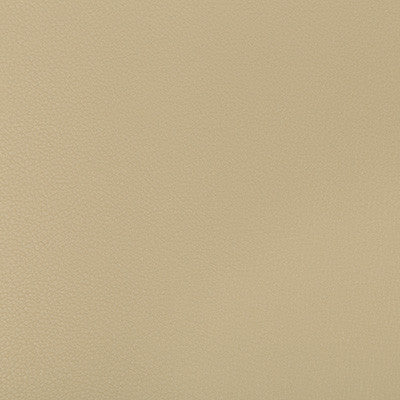 Syrus Stucco by Kravet Contract Fabric