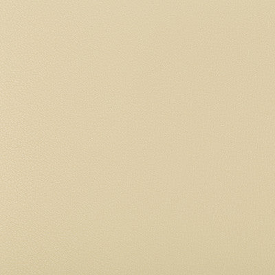 Syrus Sandbar by Kravet Contract Fabric