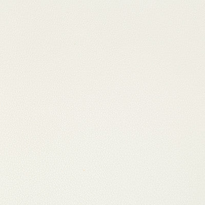 Syrus Gesso by Kravet Contract Fabric