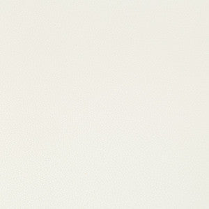 Syrus Gesso by Kravet Contract Fabric