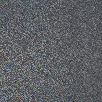 Syrus Iron by Kravet Contract Fabric