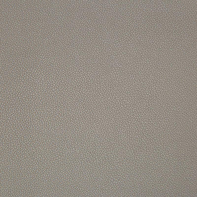 Syrus Truffle by Kravet Contract Fabric
