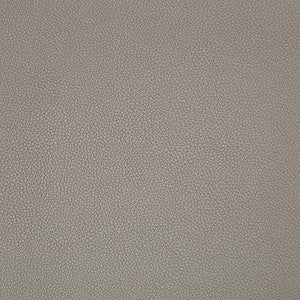 Syrus Truffle by Kravet Contract Fabric