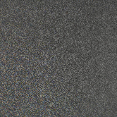 Syrus Gunmetal by Kravet Contract Fabric