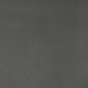 Syrus Gunmetal by Kravet Contract Fabric