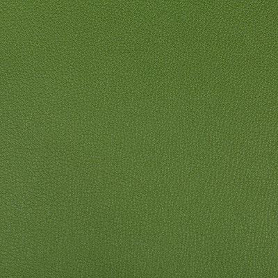 Syrus Bonsai by Kravet Contract Fabric
