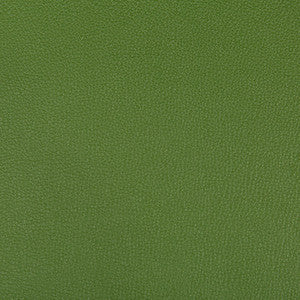 Syrus Bonsai by Kravet Contract Fabric