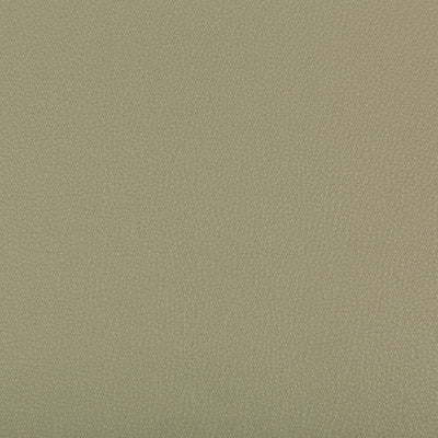 Syrus Sage by Kravet Contract Fabric