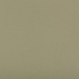 Syrus Sage by Kravet Contract Fabric