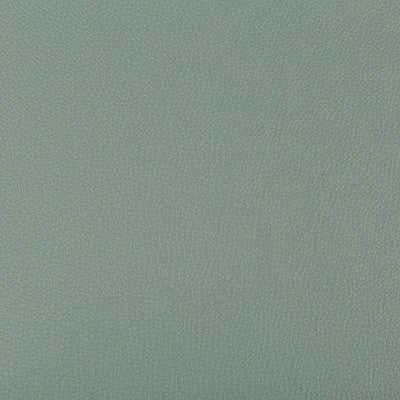 Syrus Herbal by Kravet Contract Fabric