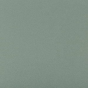 Syrus Herbal by Kravet Contract Fabric