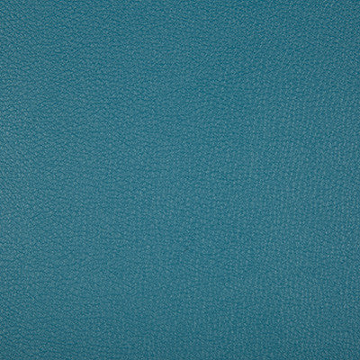 Syrus Lakeview by Kravet Contract Fabric