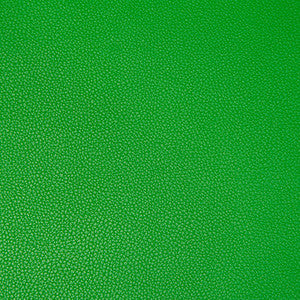 Syrus Lucky by Kravet Contract Fabric