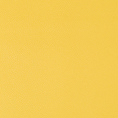 Syrus Sunshine by Kravet Contract Fabric