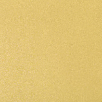 Syrus Butter by Kravet Contract Fabric