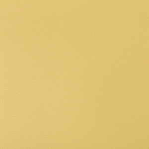 Syrus Butter by Kravet Contract Fabric
