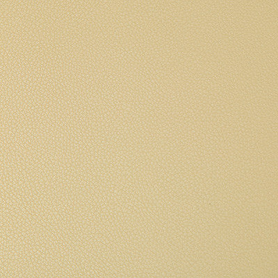 Syrus Flax by Kravet Contract Fabric