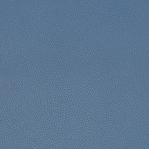 Syrus Satellite by Kravet Contract Fabric