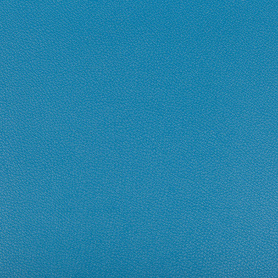 Syrus Poolside by Kravet Contract Fabric