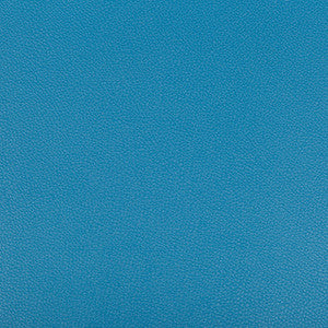 Syrus Poolside by Kravet Contract Fabric