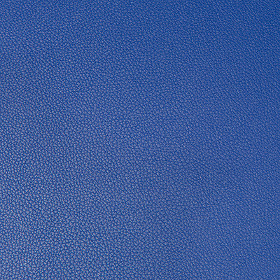 Syrus Ultramarine by Kravet Contract Fabric
