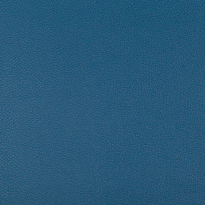 Syrus Sailor by Kravet Contract Fabric