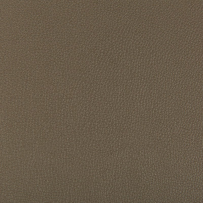 Syrus Porcini by Kravet Contract Fabric