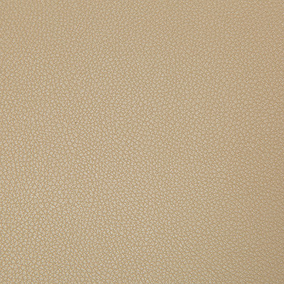 Syrus Quicksand by Kravet Contract Fabric