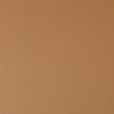 Syrus Saddle by Kravet Contract Fabric