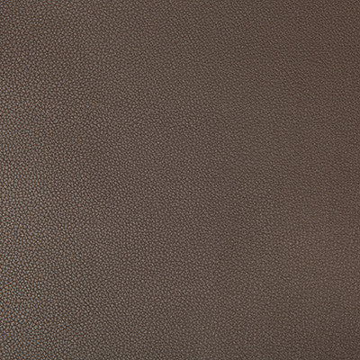 Syrus Espresso by Kravet Contract Fabric