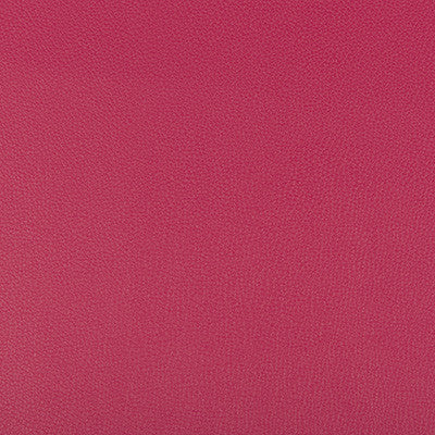 Syrus Fuschia by Kravet Contract Fabric