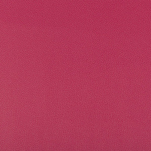 Syrus Fuschia by Kravet Contract Fabric