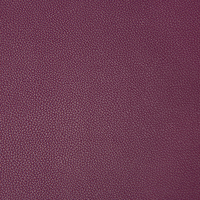 Syrus Mulberry by Kravet Contract Fabric