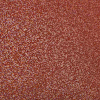 Syrus Sienna by Kravet Contract Fabric