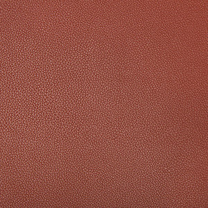 Syrus Sienna by Kravet Contract Fabric